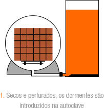 1. Secos  perfurados, os dormentes so introduzidos nos na autoclave.