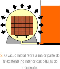 2. O vcuo inicial retira a maior parte do ar existente no interior das clulas do dormente.